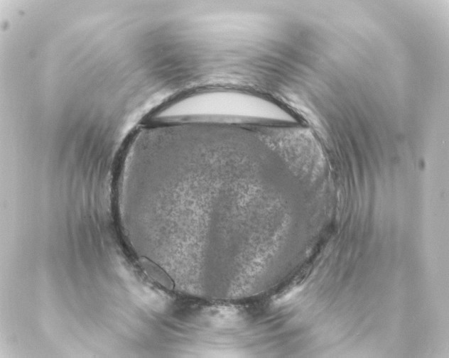 X0000088890492200706221843