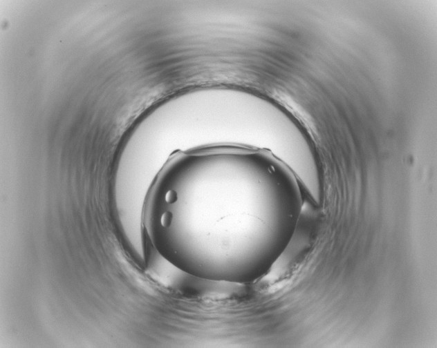 X0000088890493200706221843