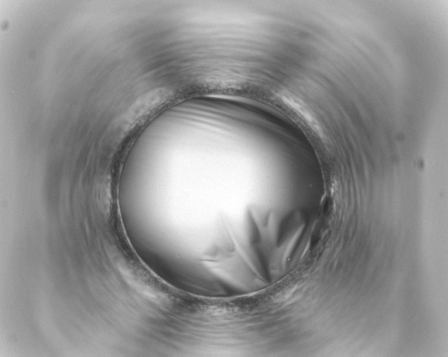 X0000088890494200706221843