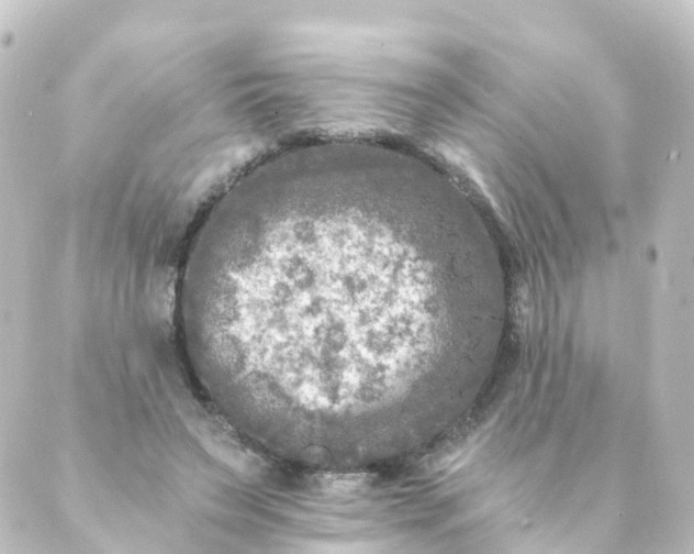 X0000088890495200706221843