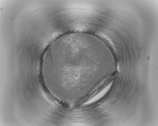 X0000088890496200706221843