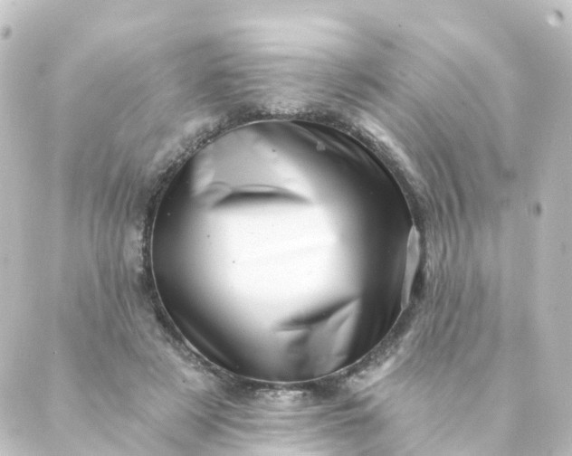 X0000088890497200706221843