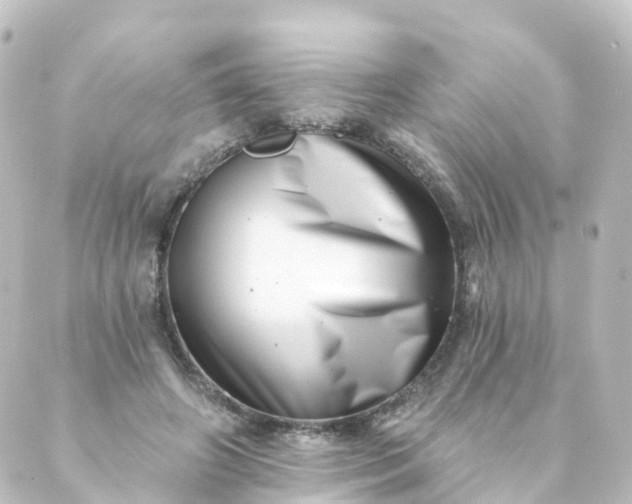 X0000088890498200706221843