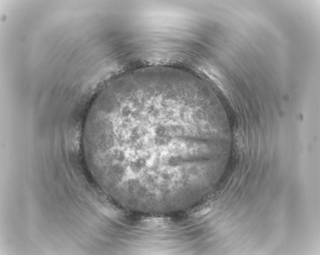 X0000088890499200706221843