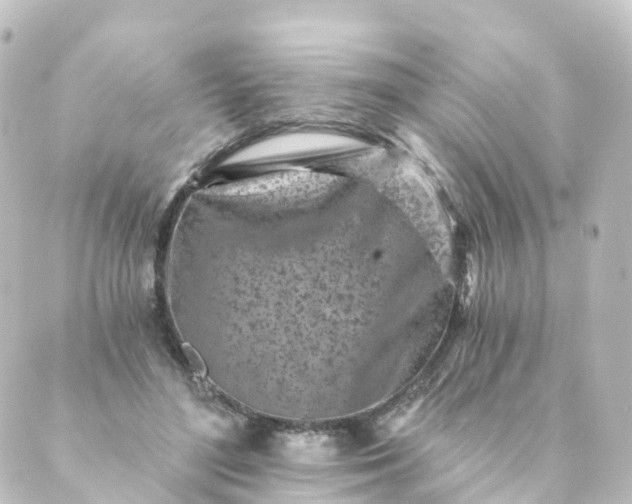 X0000088890500200706221843