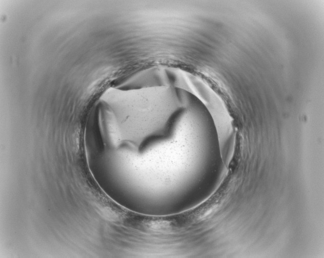 X0000088890501200706221843