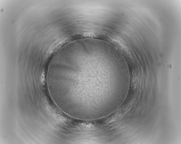 X0000088890502200706221843