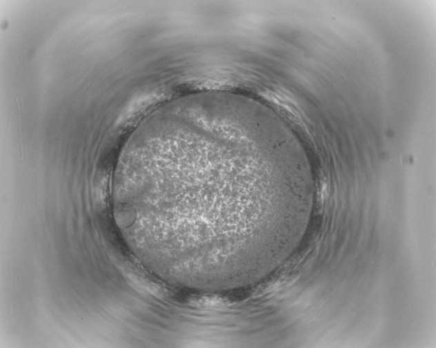 X0000088890503200706221843