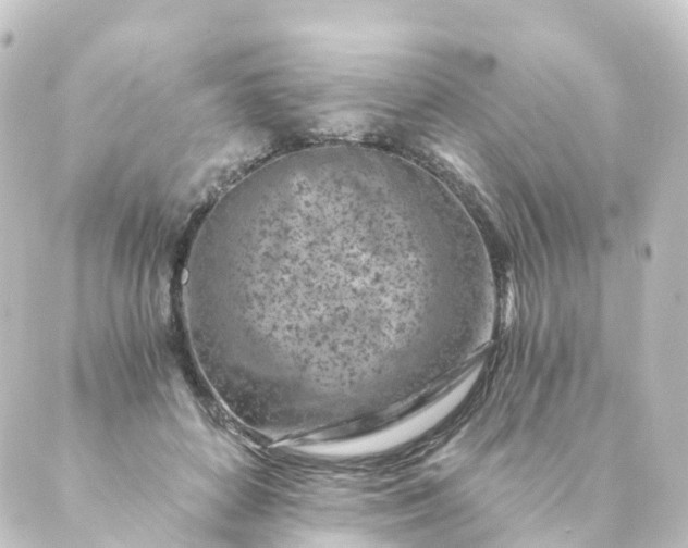 X0000088890504200706221843