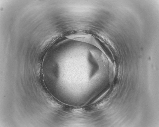 X0000088890505200706221843