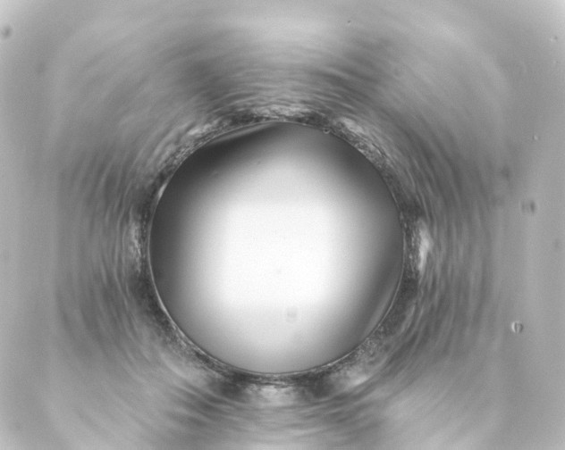 X0000088890506200706221843