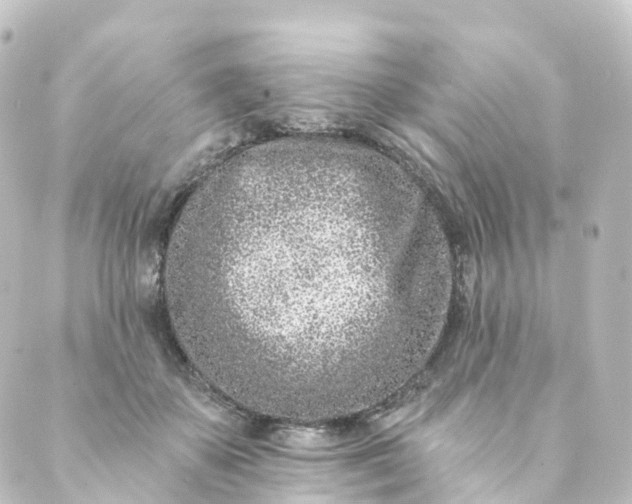 X0000088890507200706221843