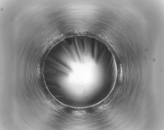 X0000088890508200706221843