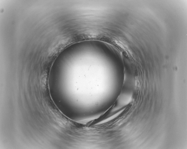 X0000088890509200706221843