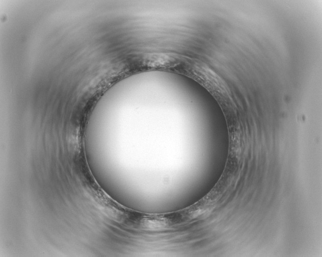 X0000088890510200706221843