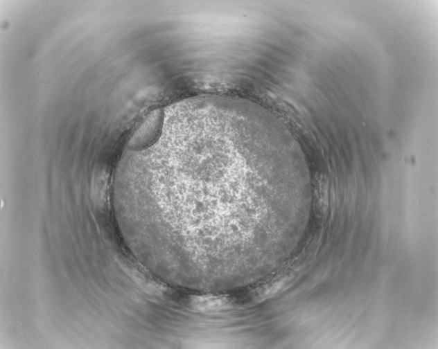 X0000088890511200706221843