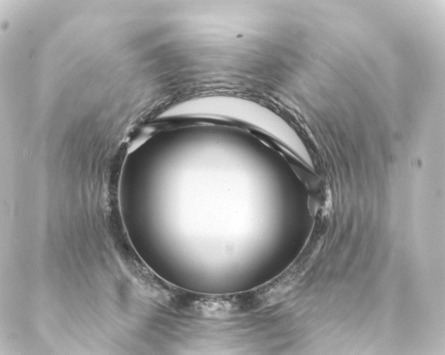 X0000088890512200706221843