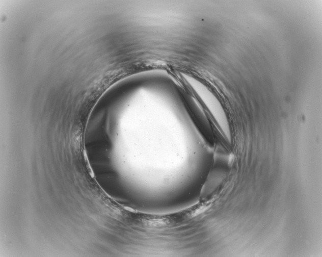 X0000088890513200706221843