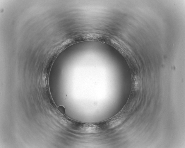 X0000088890514200706221843