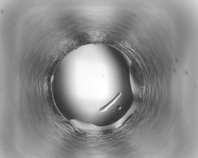 X0000088890516200706221843