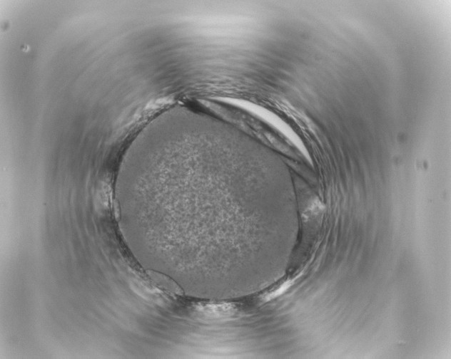 X0000088890517200706221843