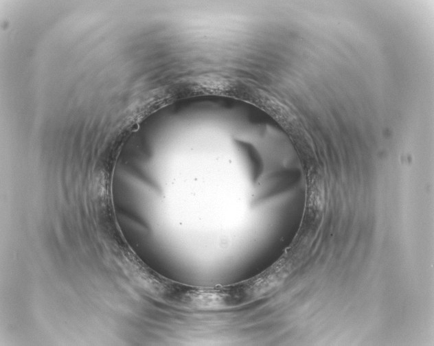 X0000088890518200706221843