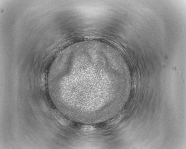 X0000088890519200706221843