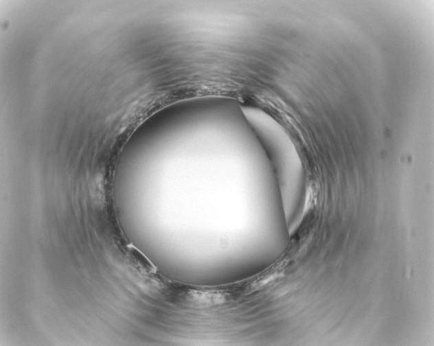 X0000088890520200706221843