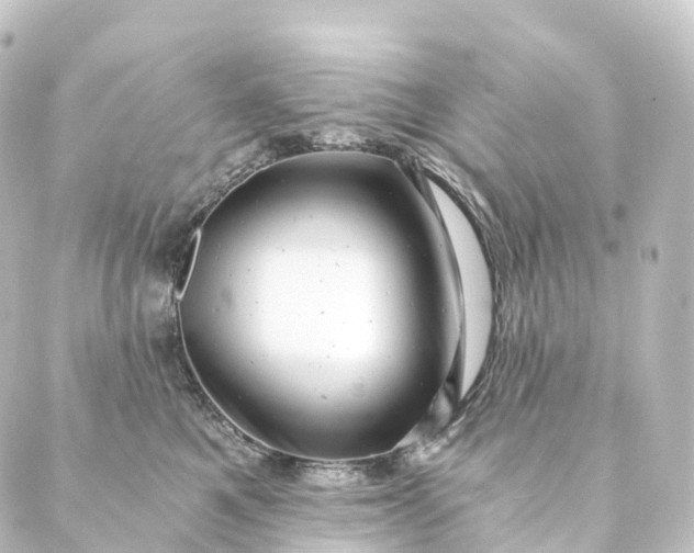 X0000088890521200706221843