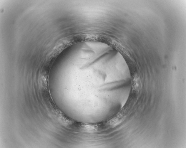 X0000088890522200706221843