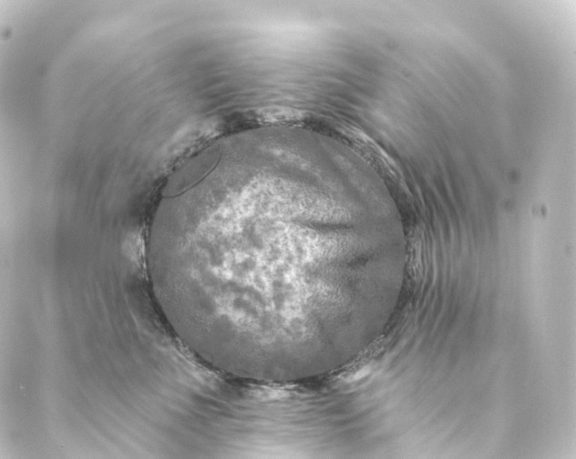 X0000088890523200706221843