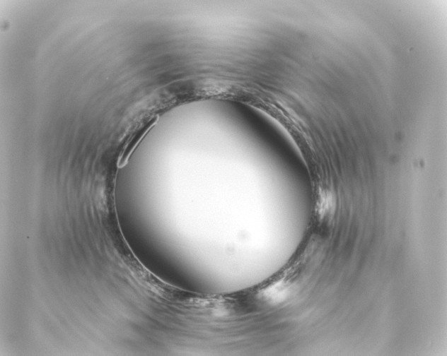 X0000088890524200706221843