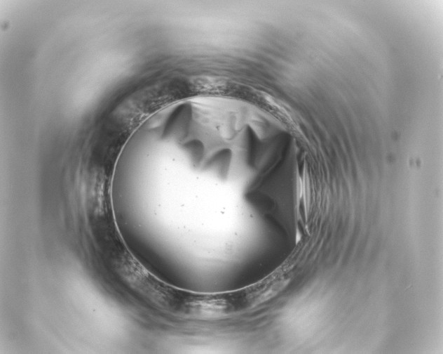 X0000088890525200706221843