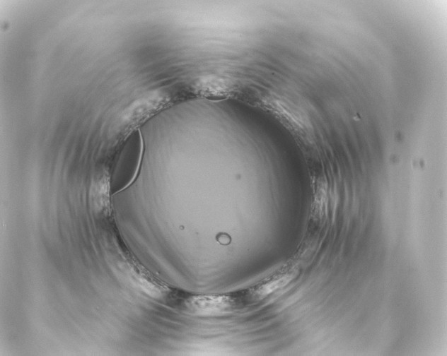 X0000088890526200706221843