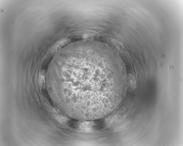 X0000088890527200706221843