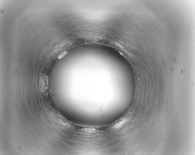 X0000088890528200706221843