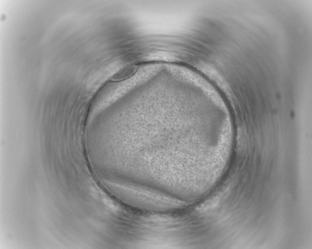 X0000088890529200706221842