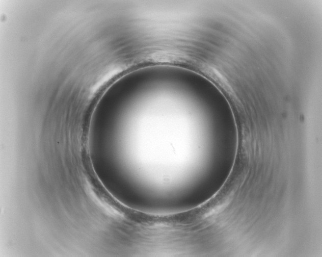 X0000088890530200706221842