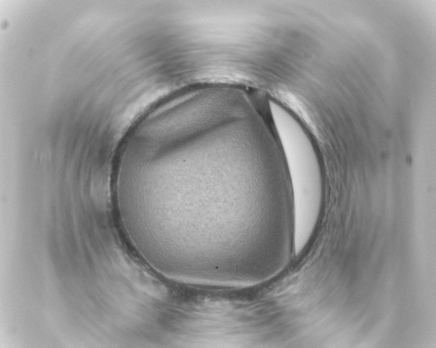 X0000088890531200706221842