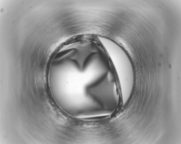 X0000088890532200706221842