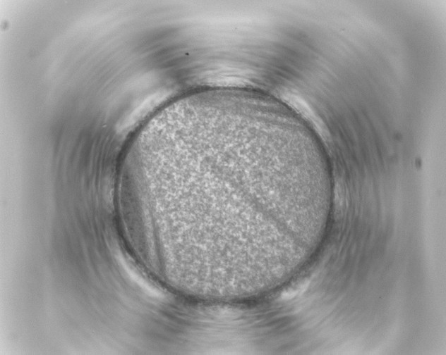 X0000088890533200706221842