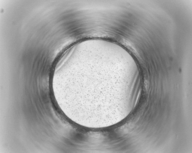 X0000088890534200706221842