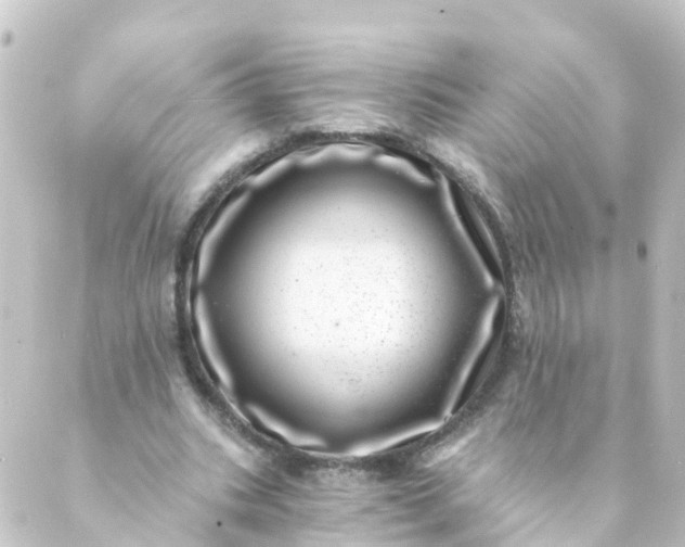 X0000088890535200706221842