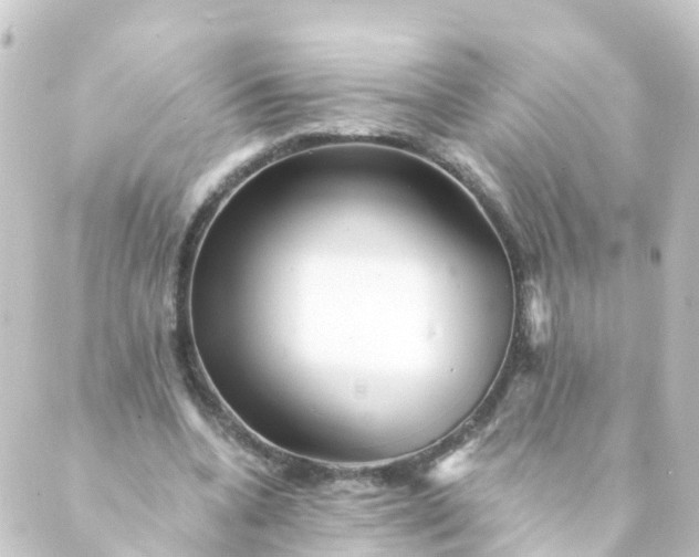 X0000088890536200706221842