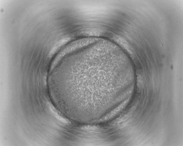 X0000088890537200706221842