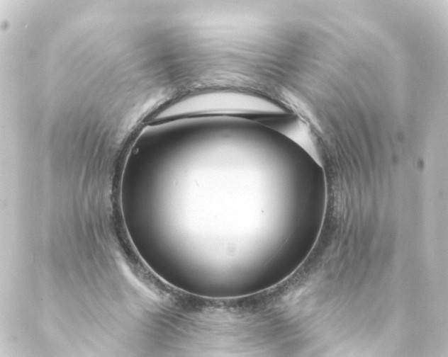 X0000088890538200706221842