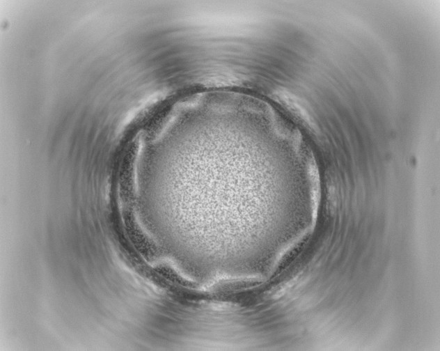 X0000088890539200706221842