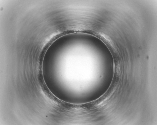 X0000088890540200706221842