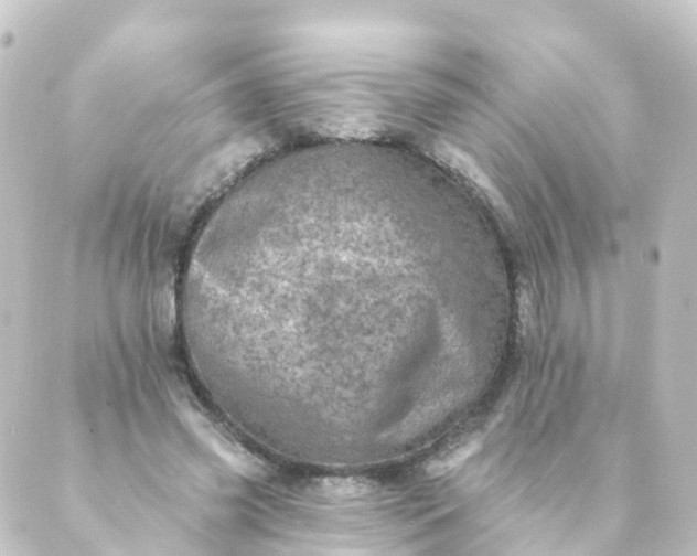 X0000088890541200706221842