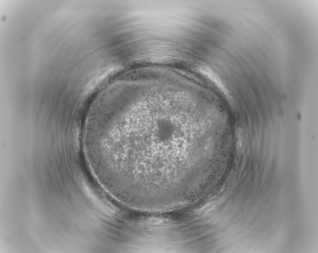 X0000088890542200706221842